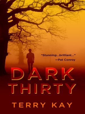 cover image of Dark Thirty